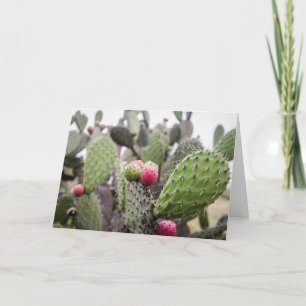 Close Up Of Prickly Pear Cactus Card