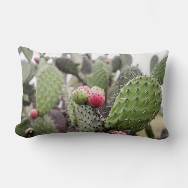 Close Up Of Prickly Pear Cactus Lumbar Cushion (Front)