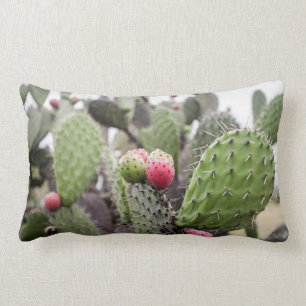 Close Up Of Prickly Pear Cactus Lumbar Cushion