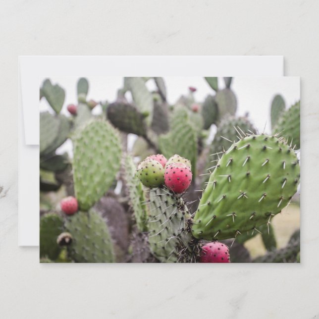 Close Up Of Prickly Pear Cactus Thank You Card (Front)
