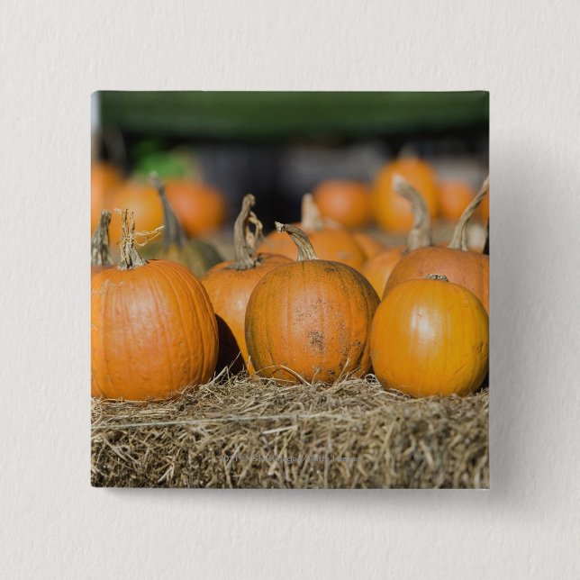 Close-up of pumpkins 15 cm square badge (Front)