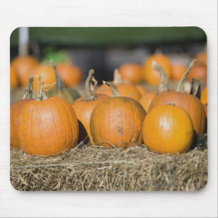 Close-up of pumpkins mouse pad