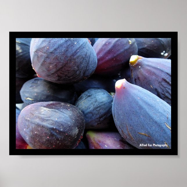 Close up of Purple Fig Fruit Poster (Front)