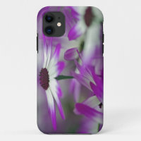 Close-up of purple flower, Keukenhof Garden,