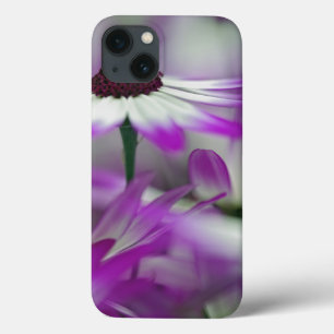 Close-up of purple flower, Keukenhof Garden, iPhone 13 Case