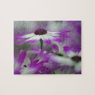 Close-up of purple flower, Keukenhof Garden, Jigsaw Puzzle
