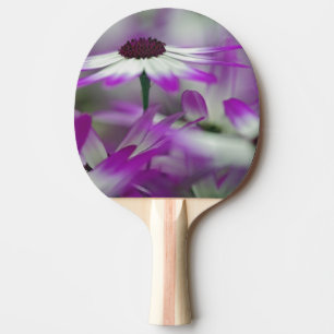 Close-up of purple flower, Keukenhof Garden, Ping Pong Paddle