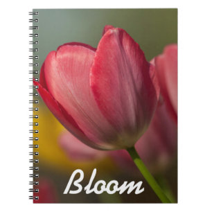 Close-up of red and yellow tulips in garden notebook