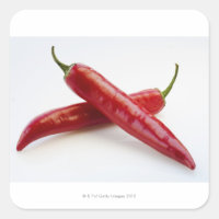 Close up of red chilli peppers on white