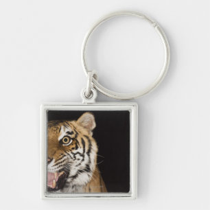 Close up of roaring tiger's face key ring