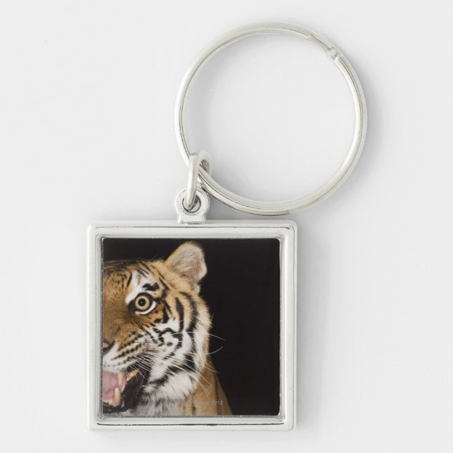 Close up of roaring tiger's face key ring (Front)