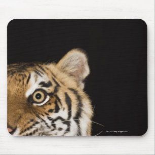 Close up of roaring tiger's face mouse pad