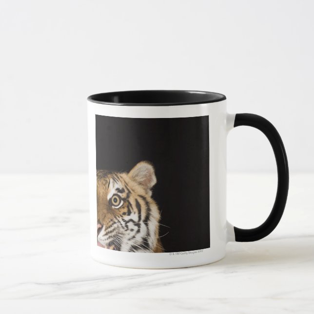 Close up of roaring tiger's face mug (Right)