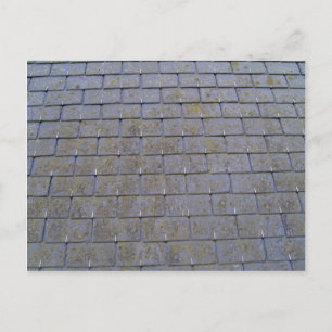 Close-Up Of Roof Tiles With Lichens Postcard
