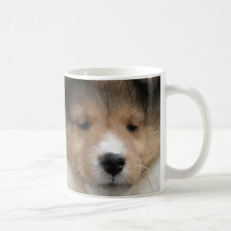 Close up of Shetland sheepdog puppy face on mug