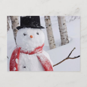 Close-Up of Snowman with Scarf and Top Hat Holiday Postcard