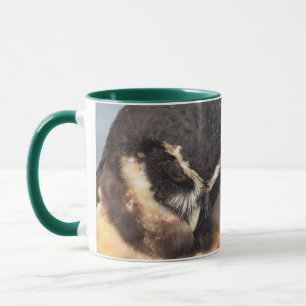Close up of Spectacled Owl looking down angry Mug