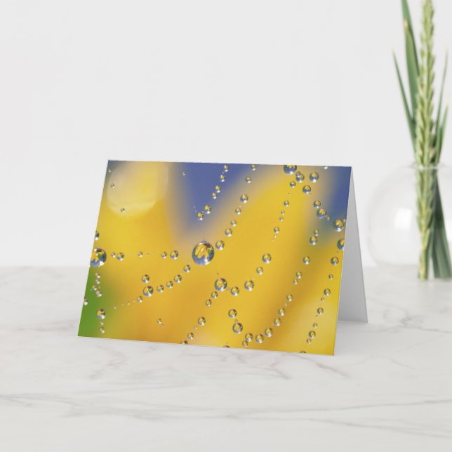 Close-up of spider web with dew drops card (Front)