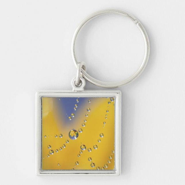 Close-up of spider web with dew drops key ring (Front)