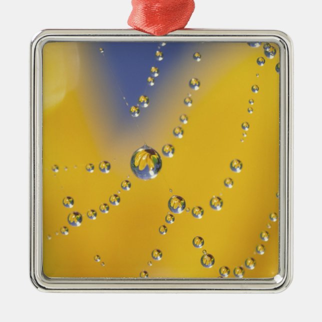 Close-up of spider web with dew drops metal tree decoration (Front)