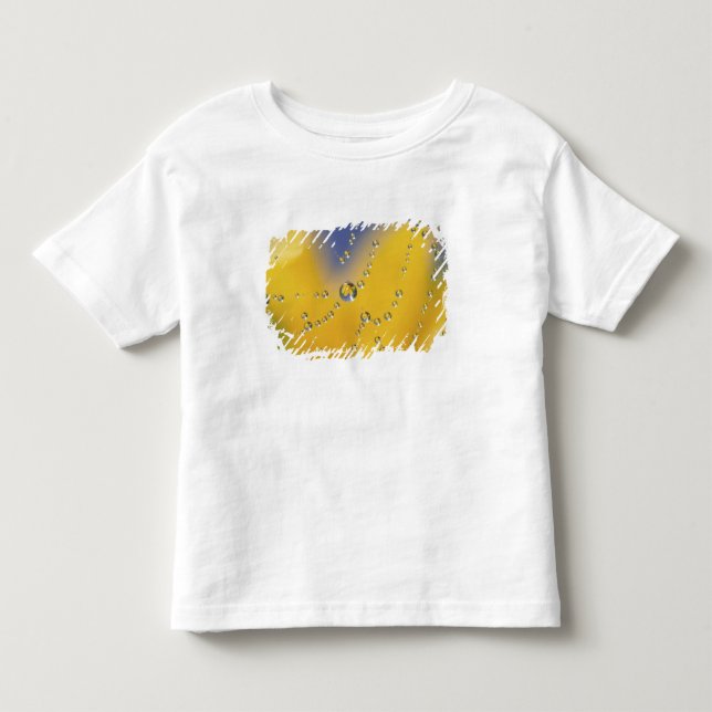 Close-up of spider web with dew drops toddler T-Shirt (Front)