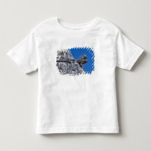 Close up of stones making an ancient Mayan Toddler T-Shirt