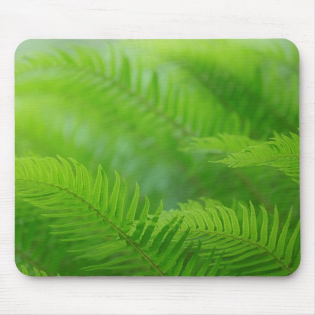 Close-up of sword fern mouse pad (Front)