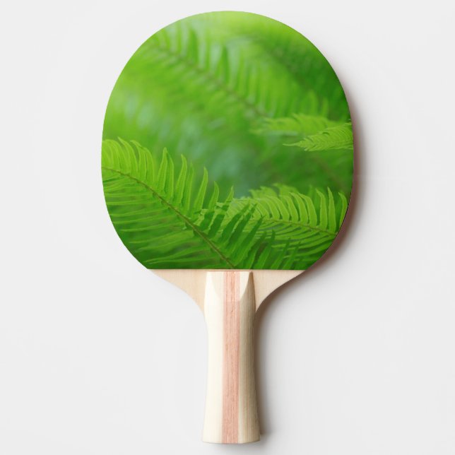 Close-up of sword fern ping pong paddle (Front)
