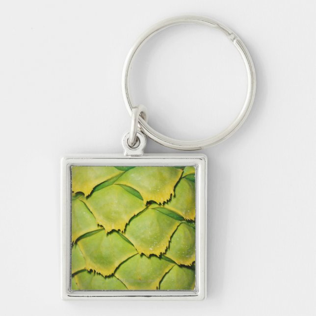 Close-up of texture and pattern of tropical tree key ring (Front)