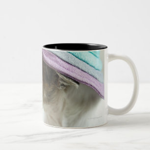 Close-up of the Chihuahua wearing hat Two-Tone Coffee Mug