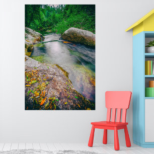 Close-up of the pond upstream the waterfall photo print