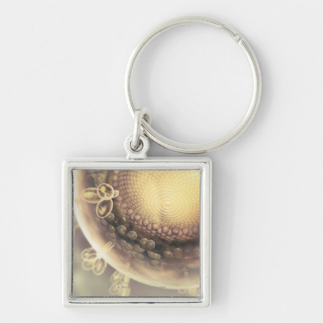 Close up of the structure of an HIV cell Key Ring (Front)