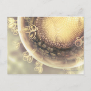 Close up of the structure of an HIV cell Postcard