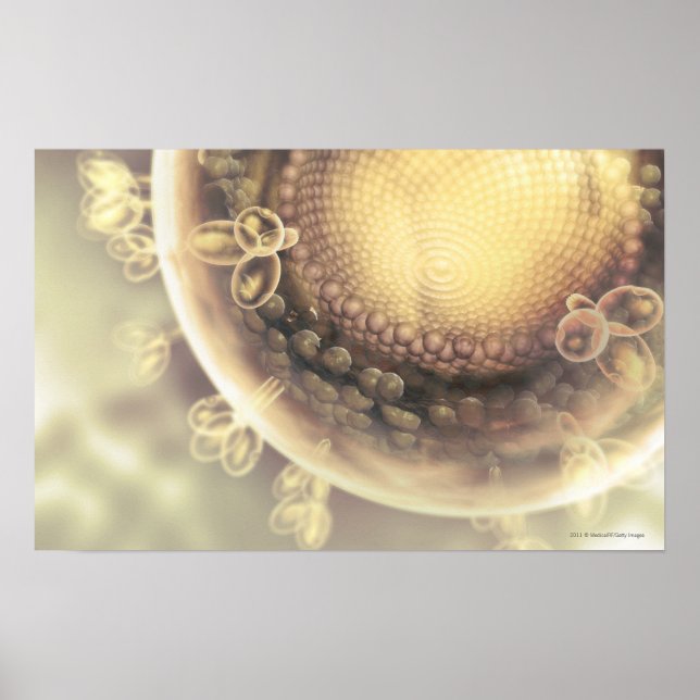 Close up of the structure of an HIV cell Poster (Front)