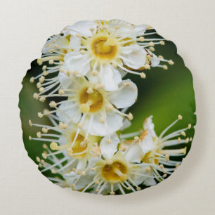 Close-up of tiny flowers round cushion