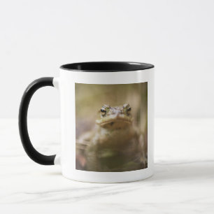 Close-up of toad mug