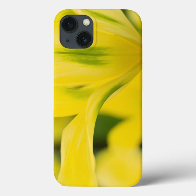 Close-up of tulip 2 Case-Mate iPhone case (Back)