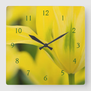 Close-up of tulip 2 square wall clock