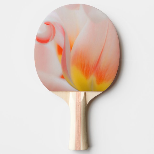 Close-up of tulip 3 ping pong paddle (Front)