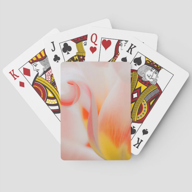 Close-up of tulip 3 playing cards (Back)
