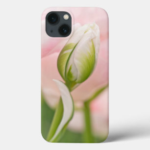 Close-up of tulip and bud iPhone 13 case