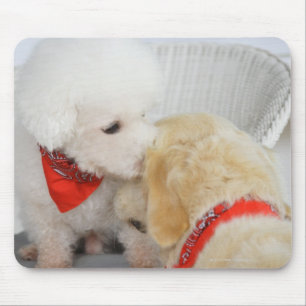 Close-up of two dogs mouse pad
