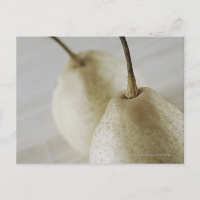 Close-up of two pears postcard (Front)