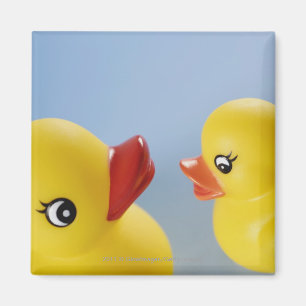 Close-up of two rubber ducks magnet