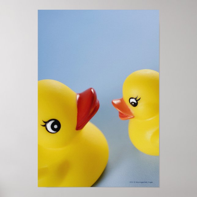 Close-up of two rubber ducks poster (Front)