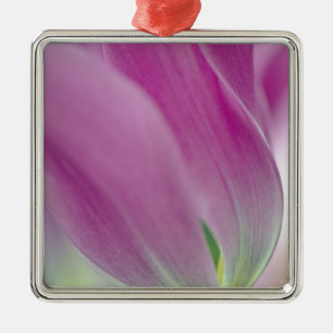 Close-up of underside of tulip flower, 2 metal tree decoration