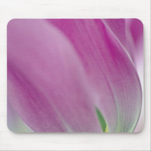 Close-up of underside of tulip flower, 2 mouse pad