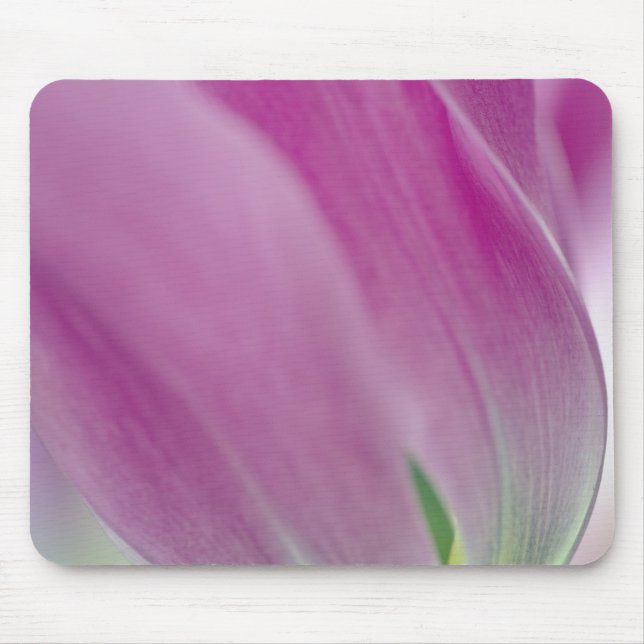 Close-up of underside of tulip flower, 2 mouse pad (Front)