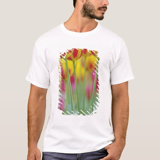 Close-up of underside of tulip flower, 3 T-Shirt (Front)