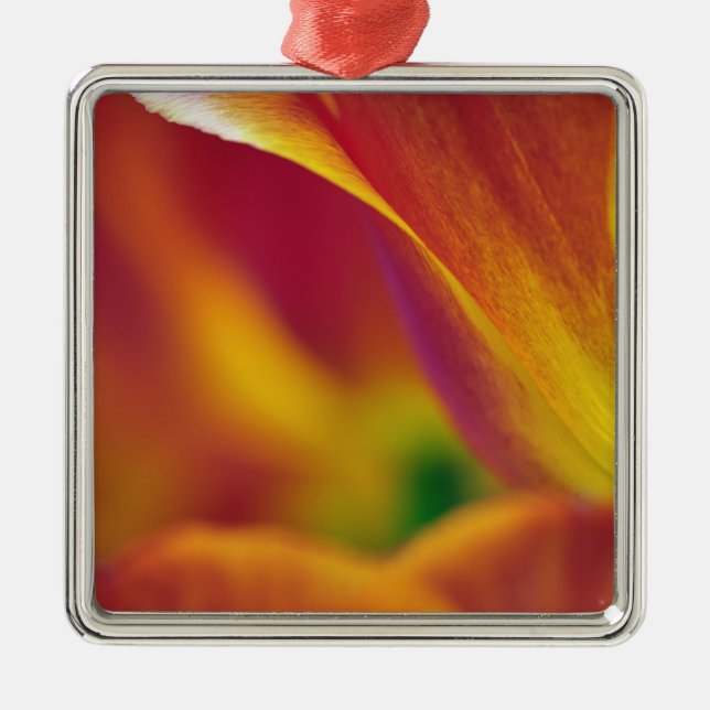 Close-up of underside of tulip flower, 4 metal ornament (Front)